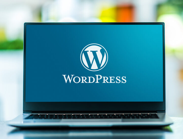 Website Management 1